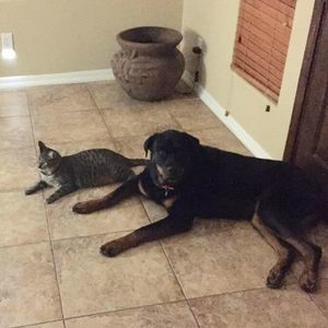 Meet your Posher, Sheila